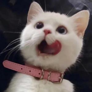 男人朝女人屄网
