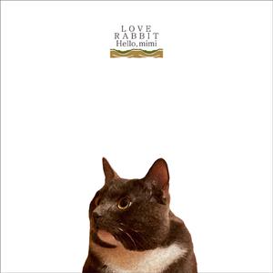 男人朝女人屄网
